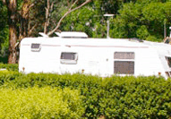 Barilla Holiday Park - New Castle Tourism 3