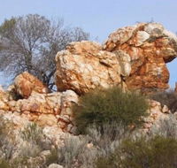 Credo Homestead Camp at Credo Conservation Park - Newcastle Accommodation