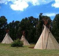 Kinglake Forest Adventures Camp - Newcastle Accommodation