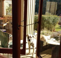 Mara Ponds Branxholm - Newcastle Accommodation