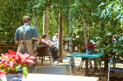 Oakdene Vineyards Guesthouse - Newcastle Accommodation 5