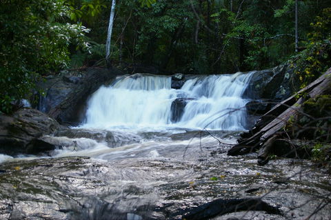 Bellthorpe Stays - Nature's Retreat - Newcastle Accommodation 5