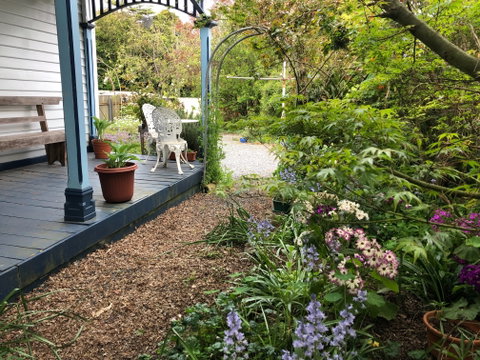 Devonport Bed And Breakfast - Newcastle Accommodation 1