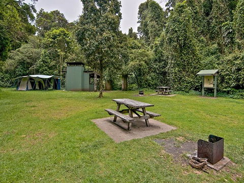 Forest Tops Campground - Newcastle Accommodation 0