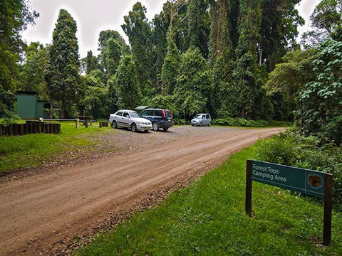 Forest Tops Campground - Newcastle Accommodation 1