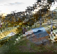 Daffodil Cottage - Newcastle Accommodation