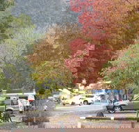 Halls Gap Caravan Park - Newcastle Accommodation