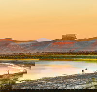 Home Valley Station - Newcastle Accommodation