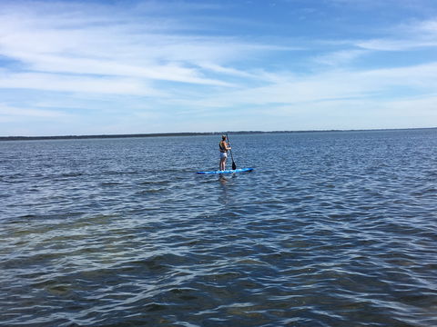 Waterfront Retreat At Wattle Point - New Castle Tourism 3