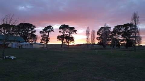 Braidwood Showground - Caravans And Camping - New Castle Tourism 0