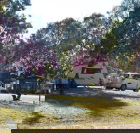 Eidsvold Caravan Park - Newcastle Accommodation