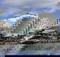 ibis Sydney Darling Harbour - Newcastle Accommodation