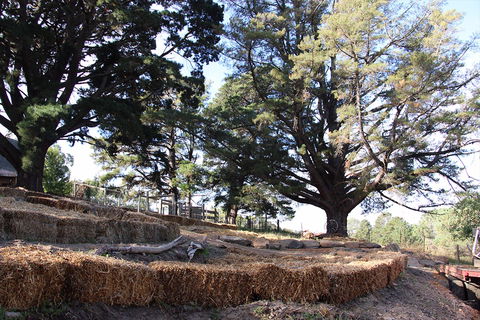 Longwood Retreat - Newcastle Accommodation 0