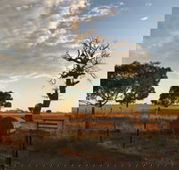 Rocklea Farm - Newcastle Accommodation