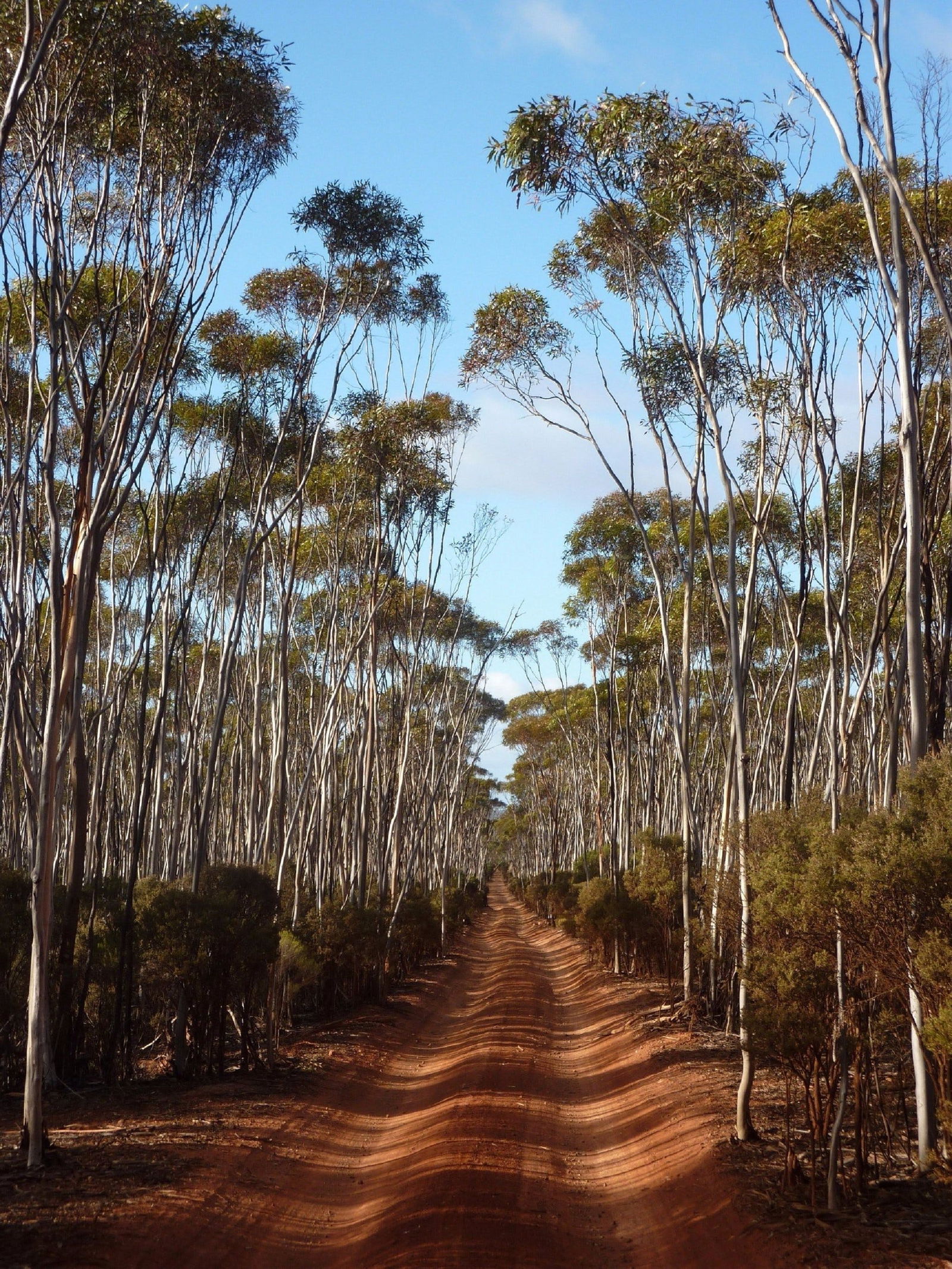 Victoria Rock WA Newcastle Accommodation