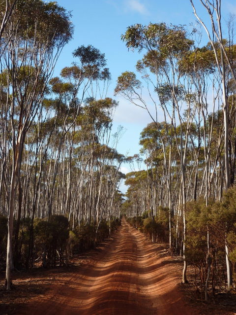 Victoria Rock Camp At Goldfields Woodlands National Park - Newcastle Accommodation 0