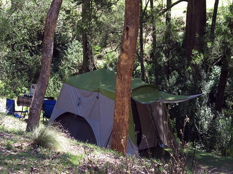 Abercrombie Caves Campground - Newcastle Accommodation 0