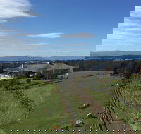 Cheeky Fox Retreat - Newcastle Accommodation