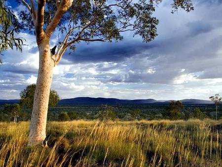 Karijini Eco Retreat - New Castle Tourism 5