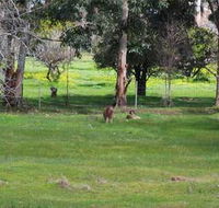 Chalets on Stoneville - New Castle Tourism