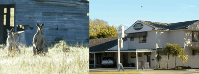 Acacia Motor Inn - Newcastle Accommodation 5
