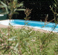 Alluna Motel - Newcastle Accommodation