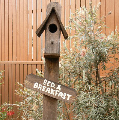 Ashby NSW New Castle Tourism