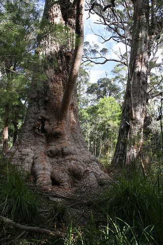Bow Bridge WA Newcastle Accommodation