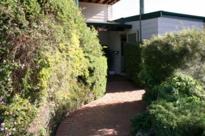Riverside Cabin Park - Newcastle Accommodation 3