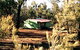 Dwarda Downs Country Hideaway - thumb 0