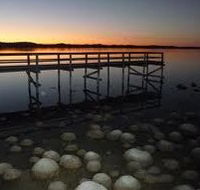 Lake Clifton Caravan Park - Newcastle Accommodation