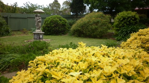 Ayers Burra - Newcastle Accommodation 2