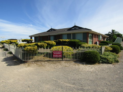 Blue Sea Dragon - Newcastle Accommodation 0