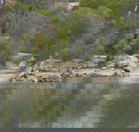Boondi Rock Camp at Goldfields Woodlands National Park - Newcastle Accommodation