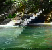 Daintree Secrets Rainforest Sanctuary - Newcastle Accommodation