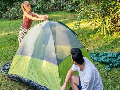Native Dog Campground - Newcastle Accommodation 0