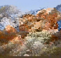 Credo Homestead Camp at Credo Conservation Park - Newcastle Accommodation