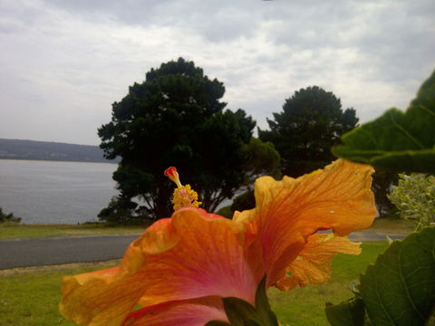Eden Oceanview - New Castle Tourism 1
