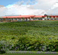 Turners Vineyard Motel - New Castle Tourism