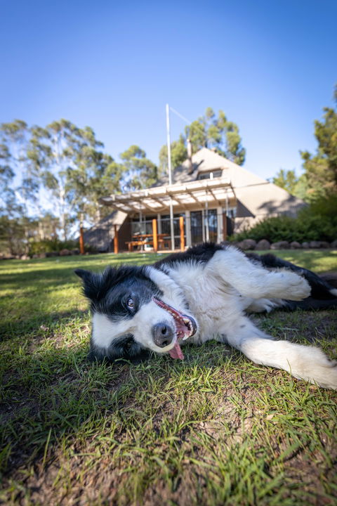 Grampians Getaway - Newcastle Accommodation 0