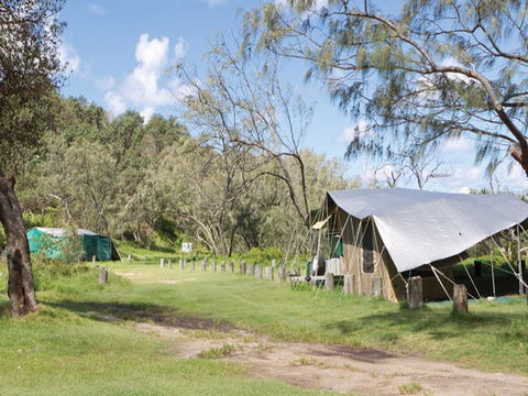 Pebbly Beach Campground - Yuraygir National Park - New Castle Tourism 0
