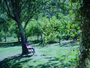 Murnong Self Contained Cottages - Newcastle Accommodation 3