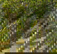 Stringybark Cottages - Newcastle Accommodation