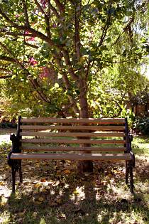 Tara House Bed And Breakfast - New Castle Tourism 4