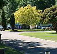 Mitchell Gardens Holiday Park - New Castle Tourism