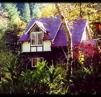 Forest Glade Olinda - New Castle Tourism