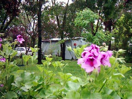 Beach Park Tourist Caravan Park - New Castle Tourism 2