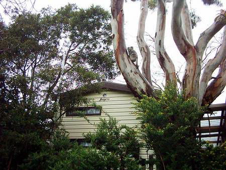 Beach Park Tourist Caravan Park - New Castle Tourism 3