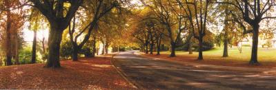 La Trobe At Beechworth - New Castle Tourism 0