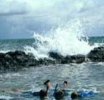 Bargara Beach Motor Inn - New Castle Tourism